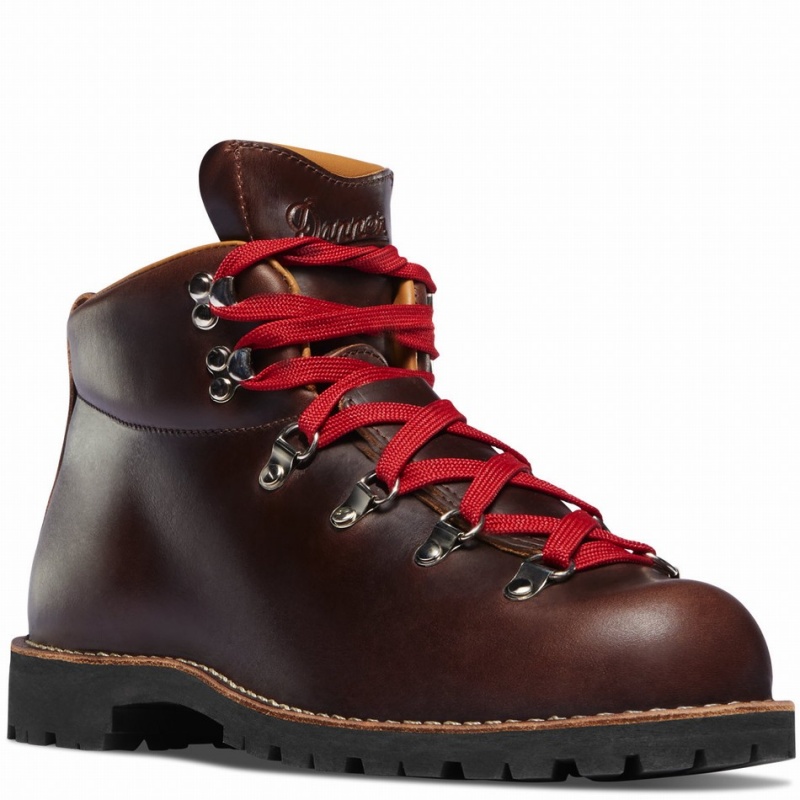 Brown Danner Mountain Trail Men's Hiking Boots | 68308