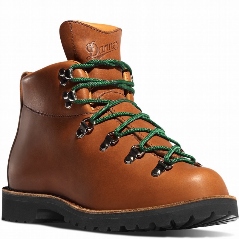 Brown Danner Mountain Trail Men's Hiking Boots | 79799