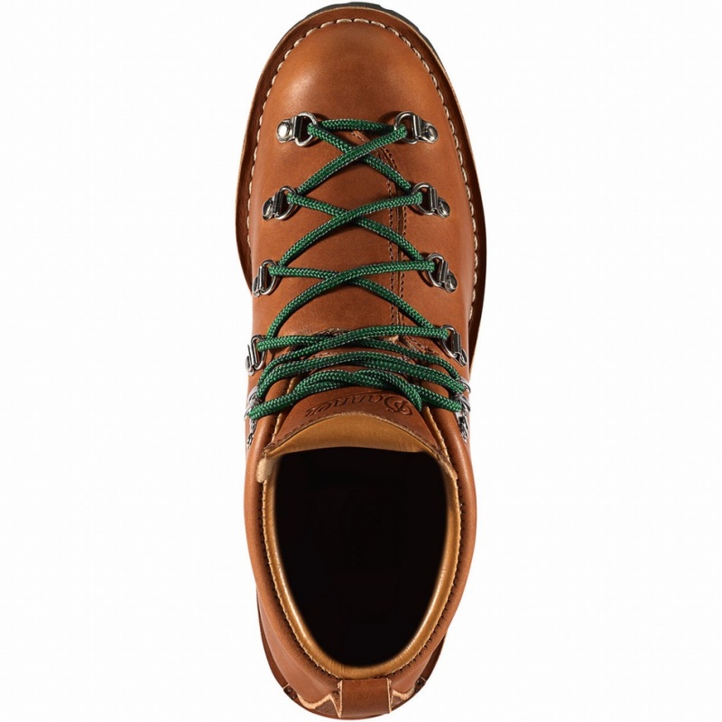 Brown Danner Mountain Trail Men's Hiking Boots | 79799