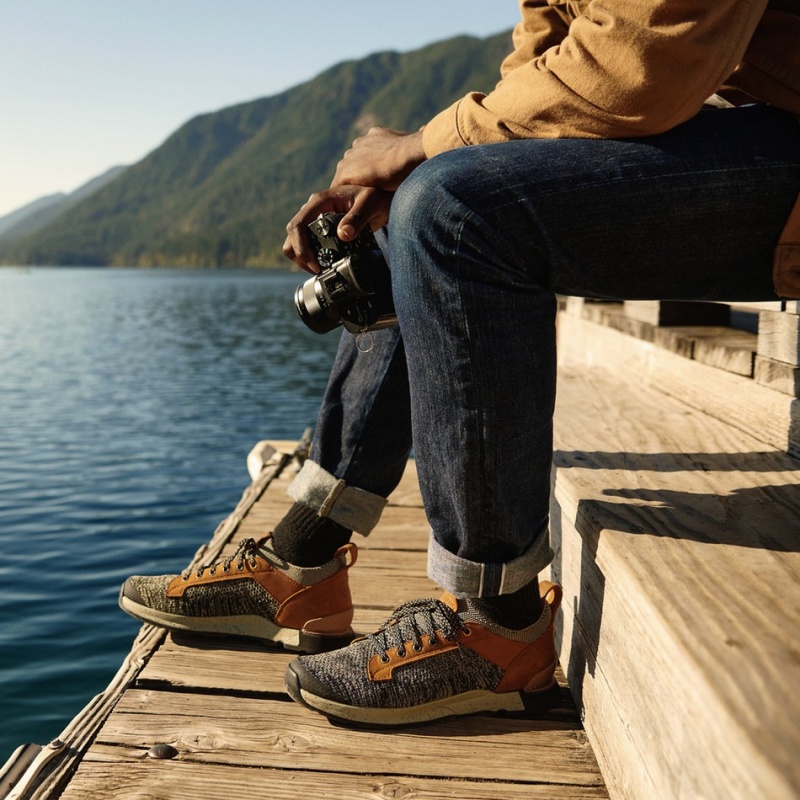 Brown Danner Overlook Men's Hiking Shoes | 70140