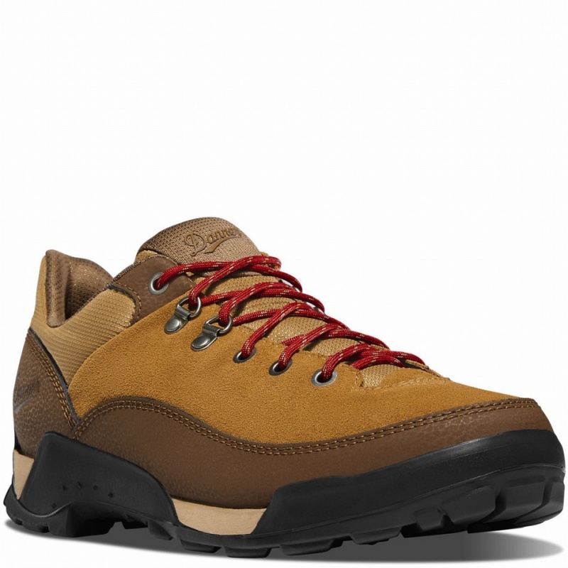 Brown Danner Panorama Low Men's Hiking Shoes | 59702