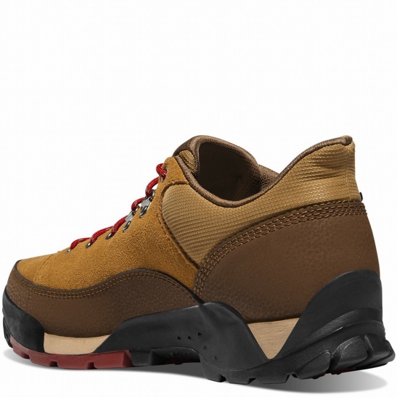 Brown Danner Panorama Low Men's Hiking Shoes | 59702