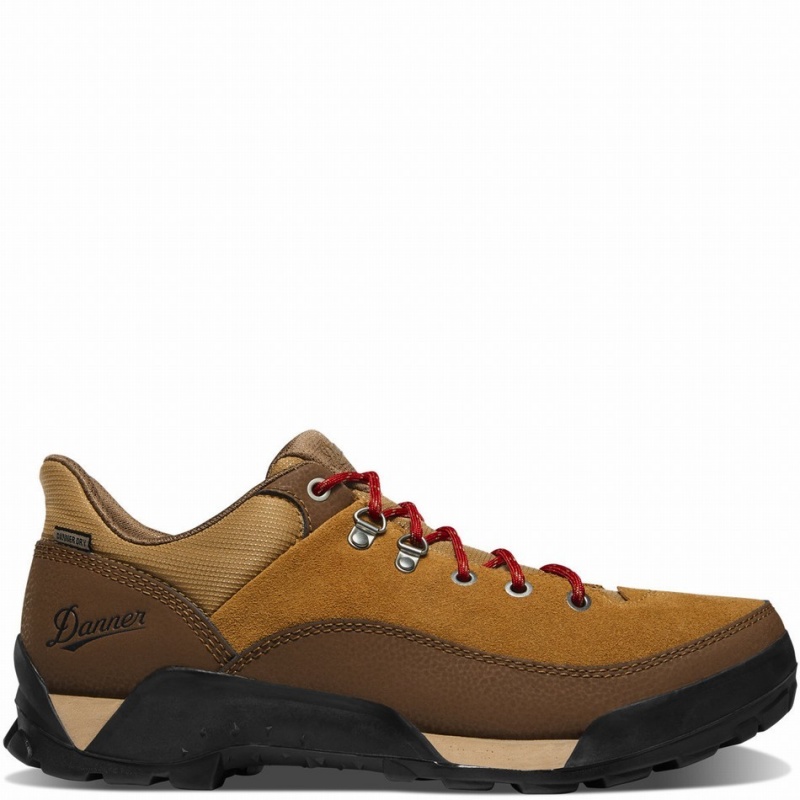 Brown Danner Panorama Low Men\'s Hiking Shoes | 59702