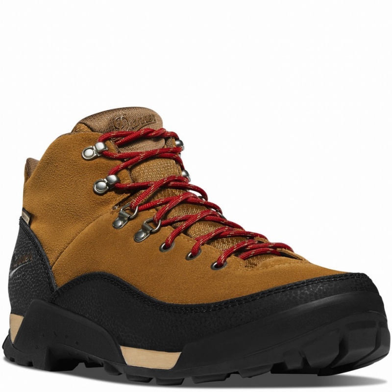 Brown Danner Panorama Men's Hiking Boots | 85523