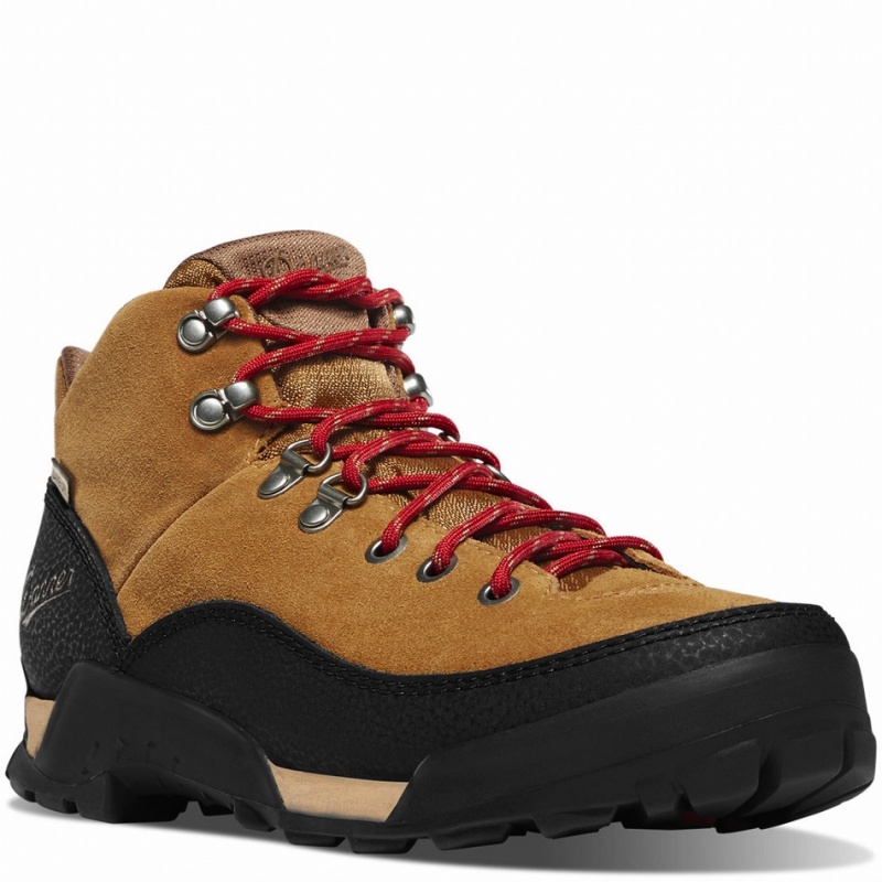 Brown Danner Panorama Women's Hiking Boots | 67321