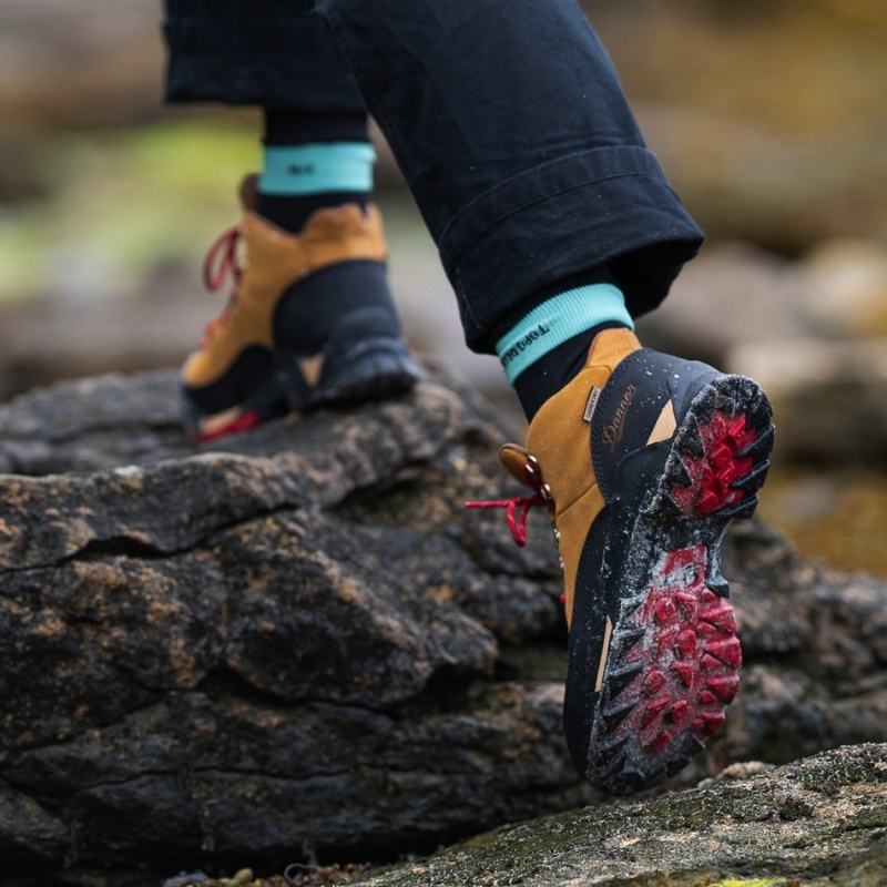 Brown Danner Panorama Women's Hiking Boots | 67321