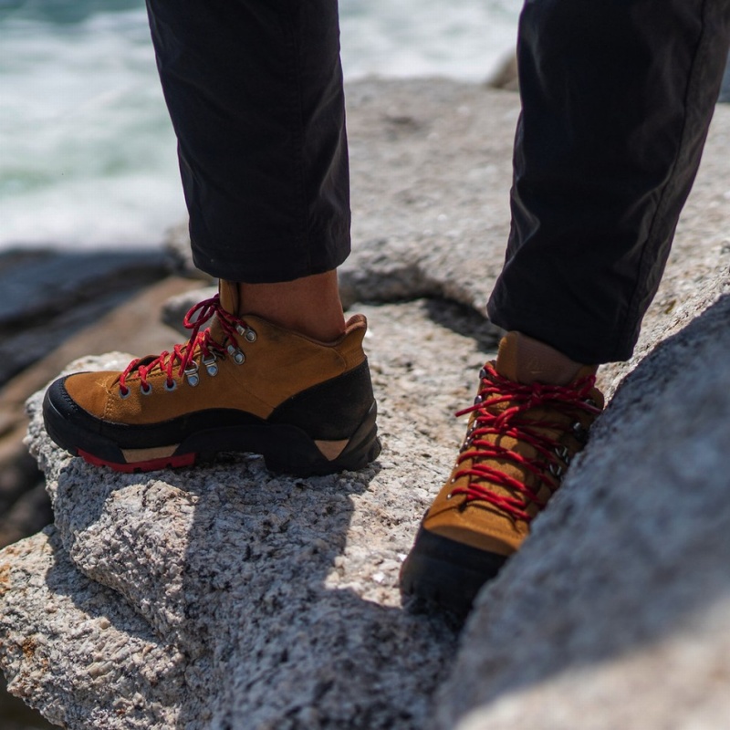 Brown Danner Panorama Women's Hiking Boots | 67321