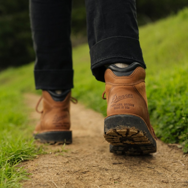 Brown Danner Ridge Men's Hiking Boots | 87905