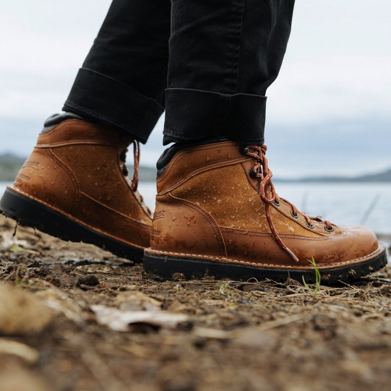 Brown Danner Ridge Men's Hiking Boots | 87905