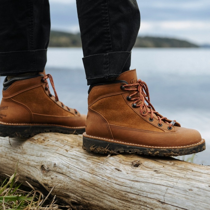 Brown Danner Ridge Men's Hiking Boots | 87905