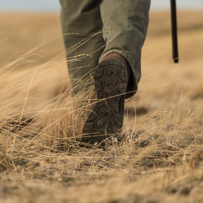 Brown Danner Sharptail Men's Hunting Boots | 45816