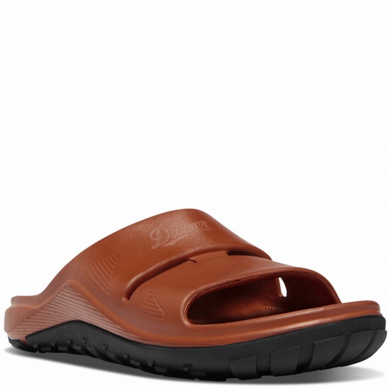 Brown Danner Shelter Cove Men's Sandals | 24756