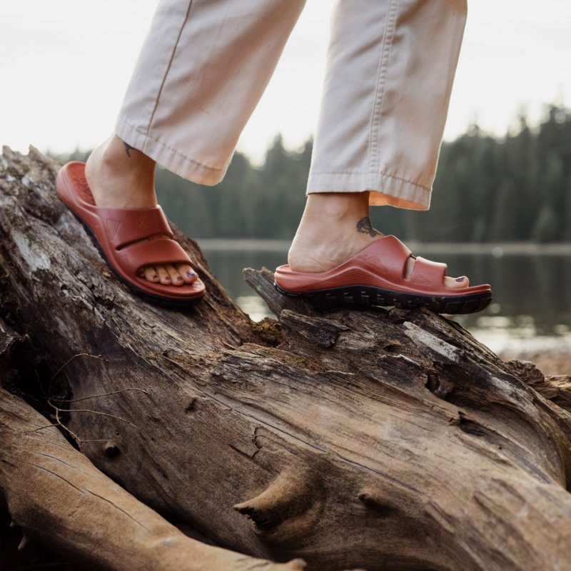 Brown Danner Shelter Cove Women's Sandals | 89229