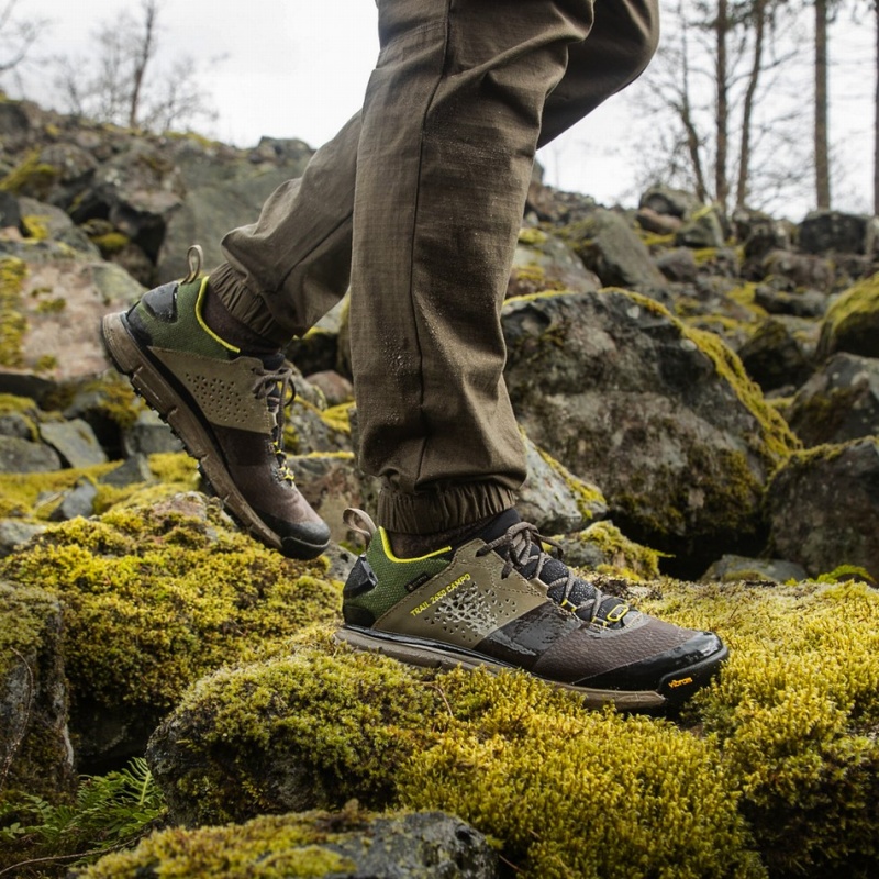 Brown Danner Trail 2650 Campo GTX Men's Hiking Shoes | 25135