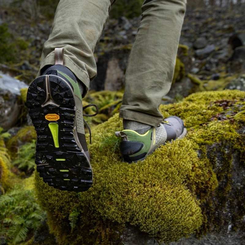 Brown Danner Trail 2650 Campo GTX Men's Hiking Shoes | 25135