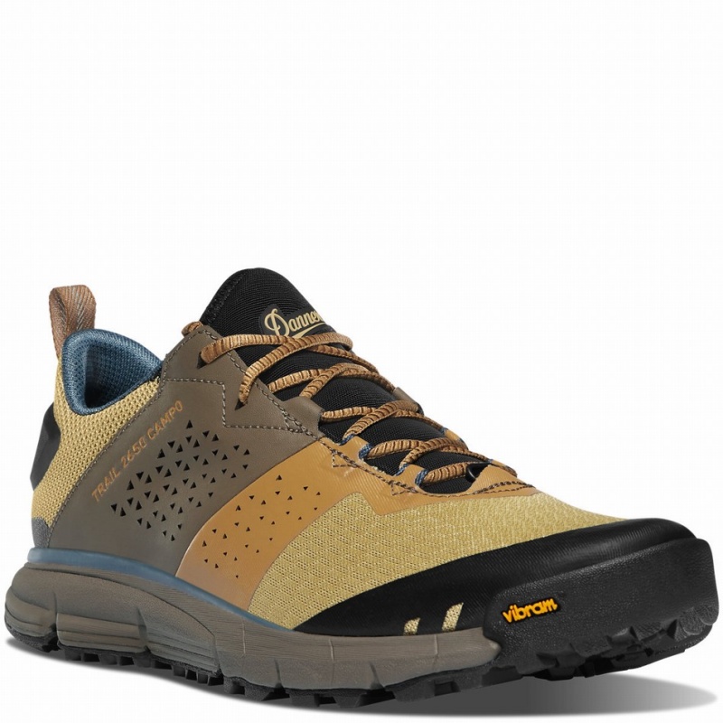 Brown Danner Trail 2650 Campo Men's Hiking Shoes | 12574