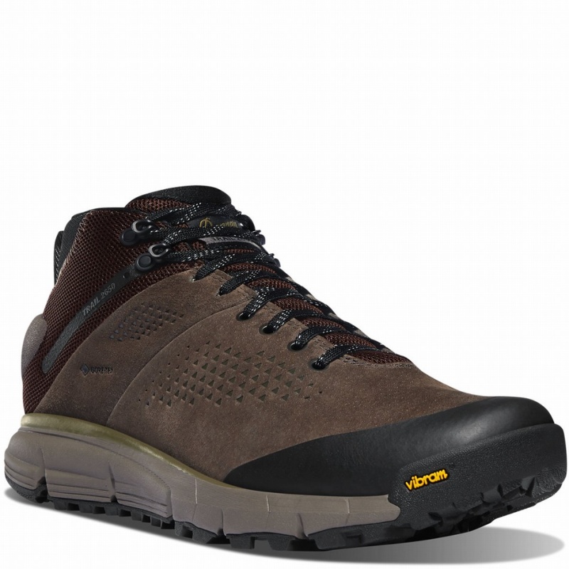 Brown Danner Trail 2650 GTX Mid Men's Hiking Shoes | 98114