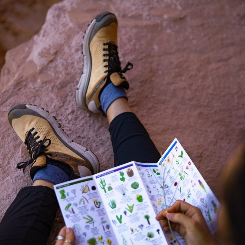 Brown Danner Trail 2650 GTX Women's Hiking Shoes | 80964