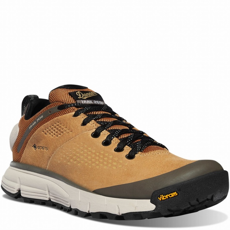 Brown Danner Trail 2650 GTX Women's Hiking Shoes | 80964