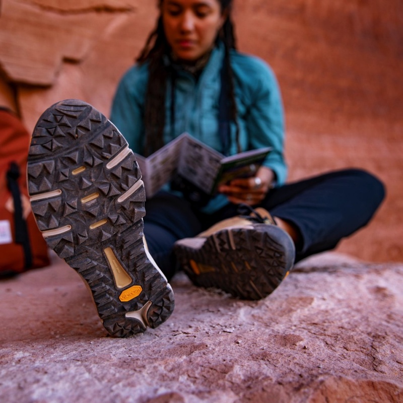 Brown Danner Trail 2650 GTX Women's Hiking Shoes | 80964