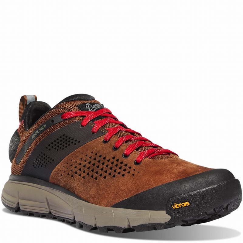 Brown Danner Trail 2650 Men's Hiking Shoes | 52930