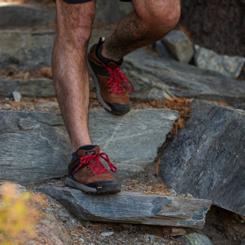 Brown Danner Trail 2650 Men's Hiking Shoes | 52930