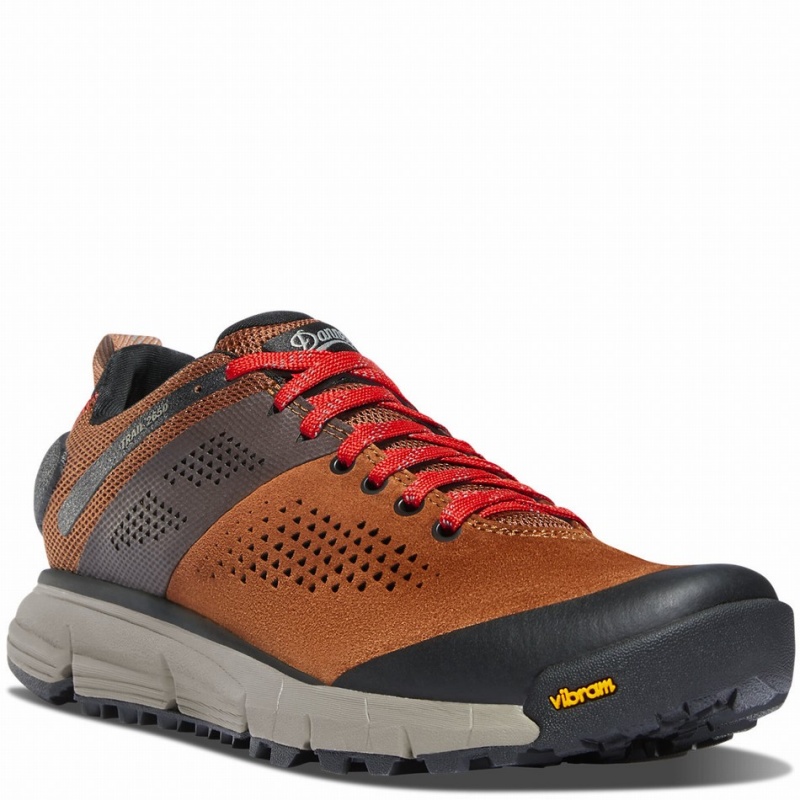 Brown Danner Trail 2650 Women's Hiking Shoes | 87881