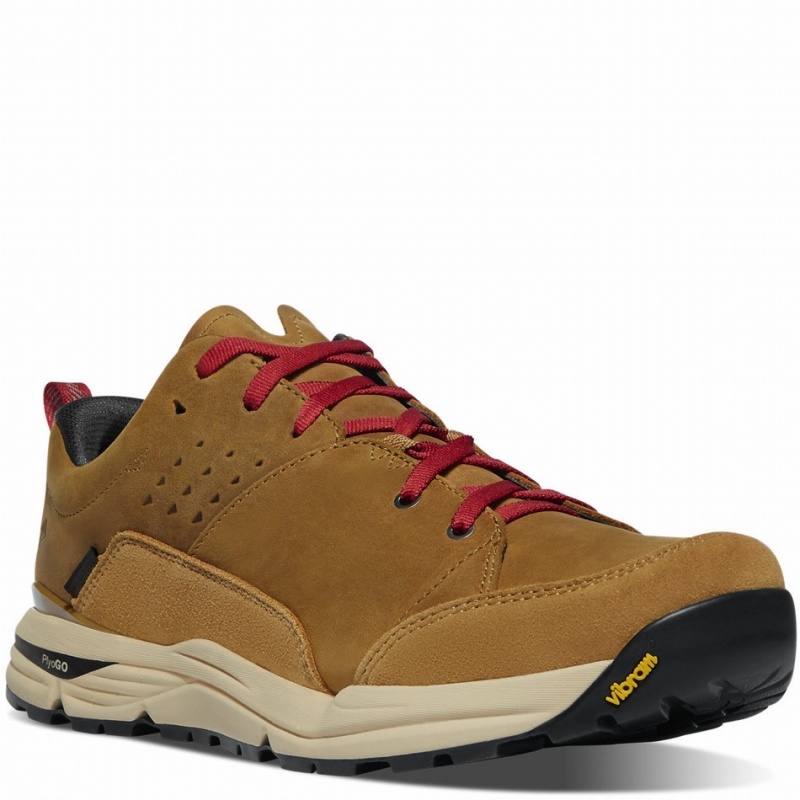 Brown Danner Trail Roamer Men's Hiking Shoes | 74701