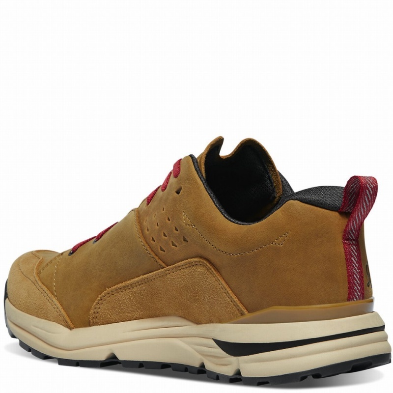 Brown Danner Trail Roamer Men's Hiking Shoes | 74701