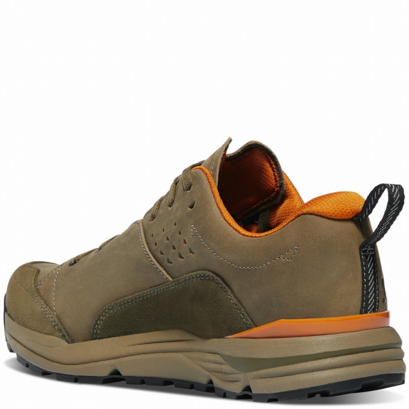 Brown Danner Trail Roamer Men's Hiking Shoes | 11854