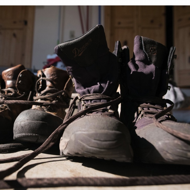 Brown Danner Vital Men's Hunting Boots | 26861