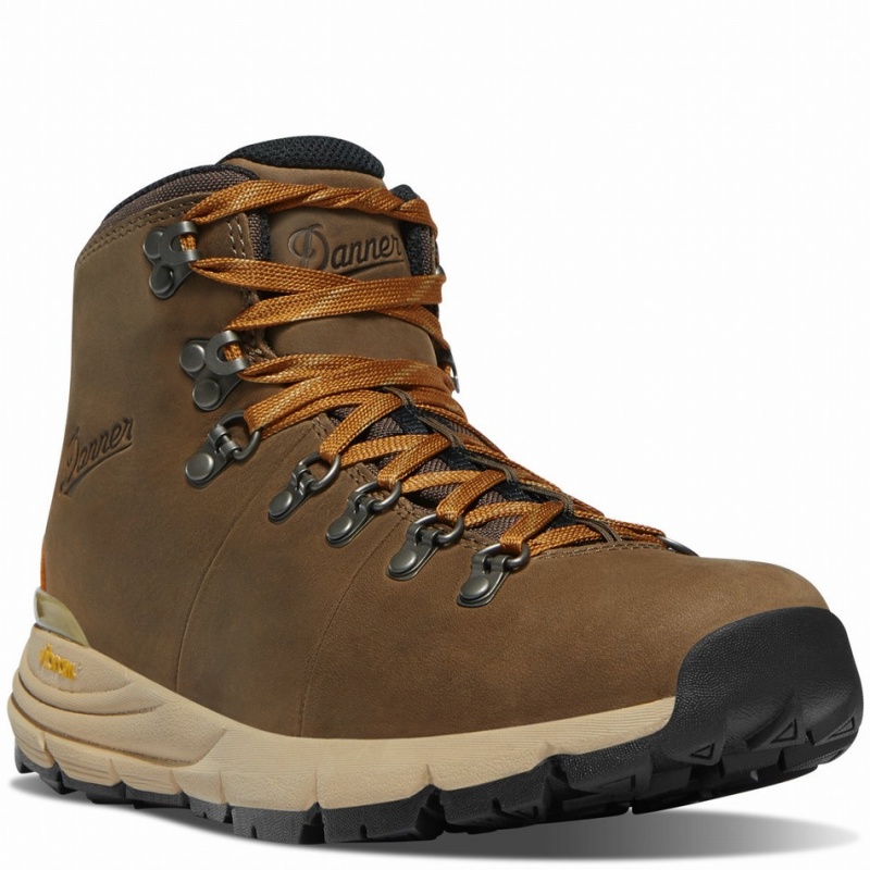 Chocolate Danner Mountain 600 Leaf GTX Men's Hiking Boots | 53049