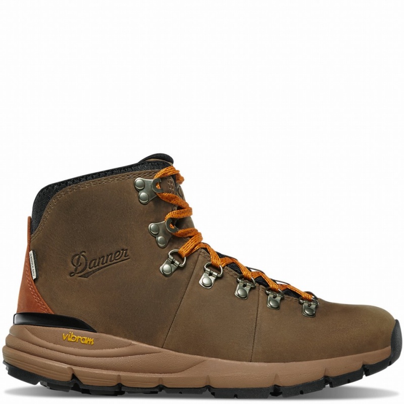 Chocolate Danner Mountain 600 Men\'s Hiking Boots | 98579