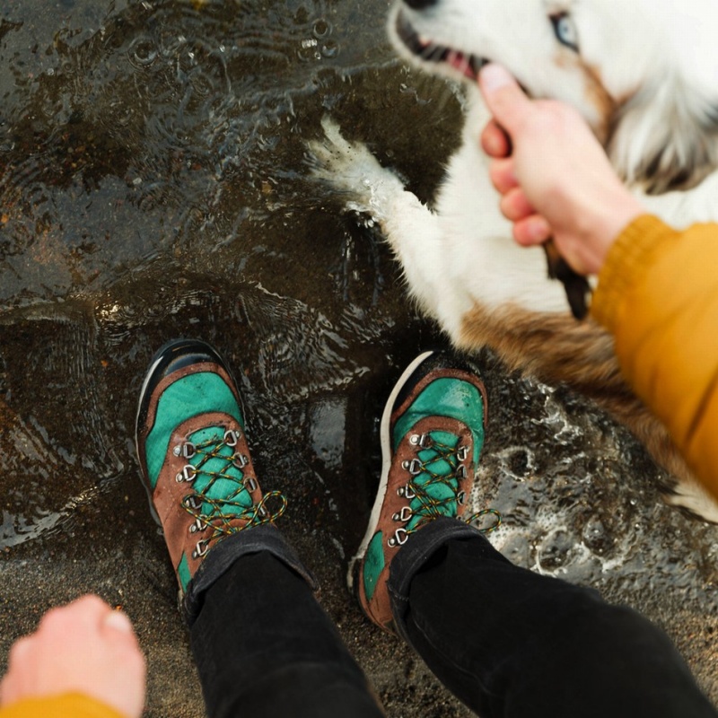 Coffee Danner Free Spirit Men's Hiking Boots | 74711