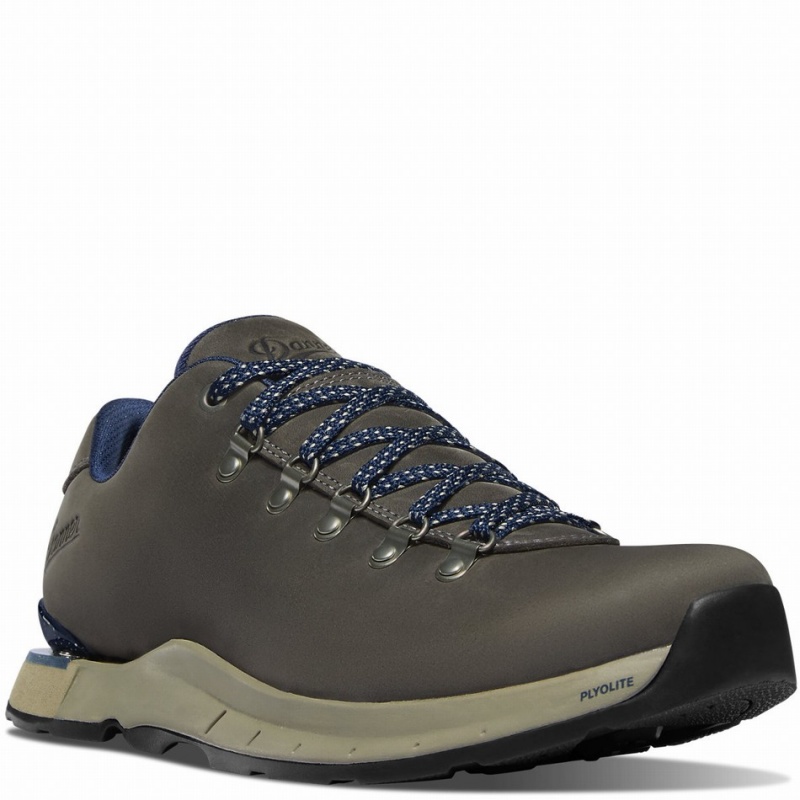 Grey Danner Mountain Overlook Men's Hiking Shoes | 38235