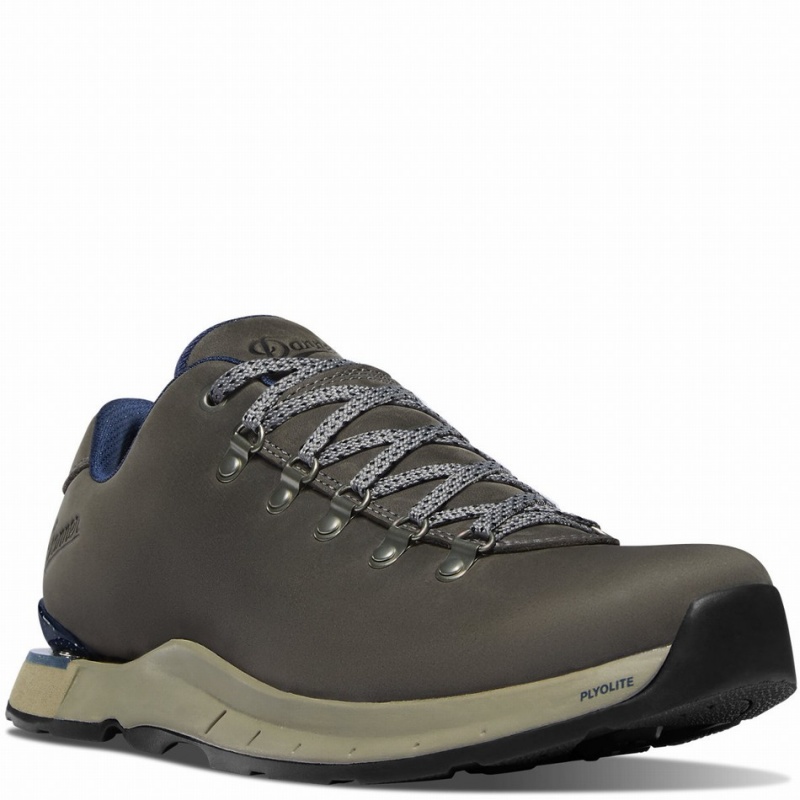 Grey Danner Mountain Overlook Men's Hiking Shoes | 38235