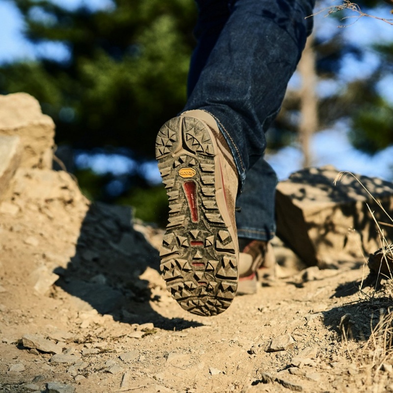 Olive Danner Trail 2650 GTX Mid Men's Hiking Shoes | 16958