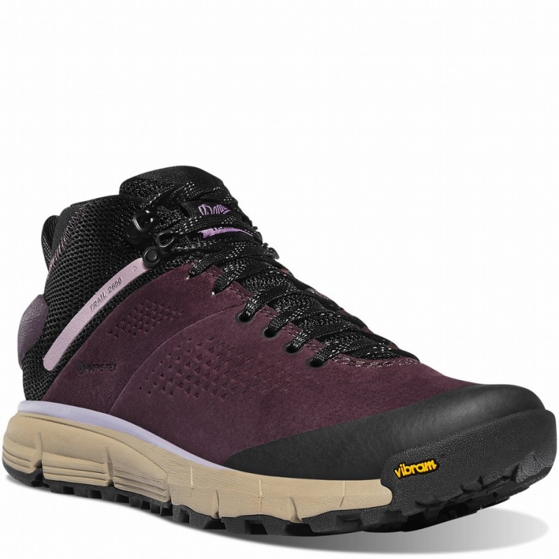 Purple Danner Trail 2650 Mid GTX Women's Hiking Shoes | 25535