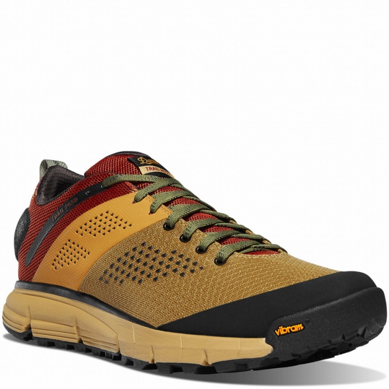 Yellow Danner Trail 2650 Mesh Men's Hiking Shoes | 99759